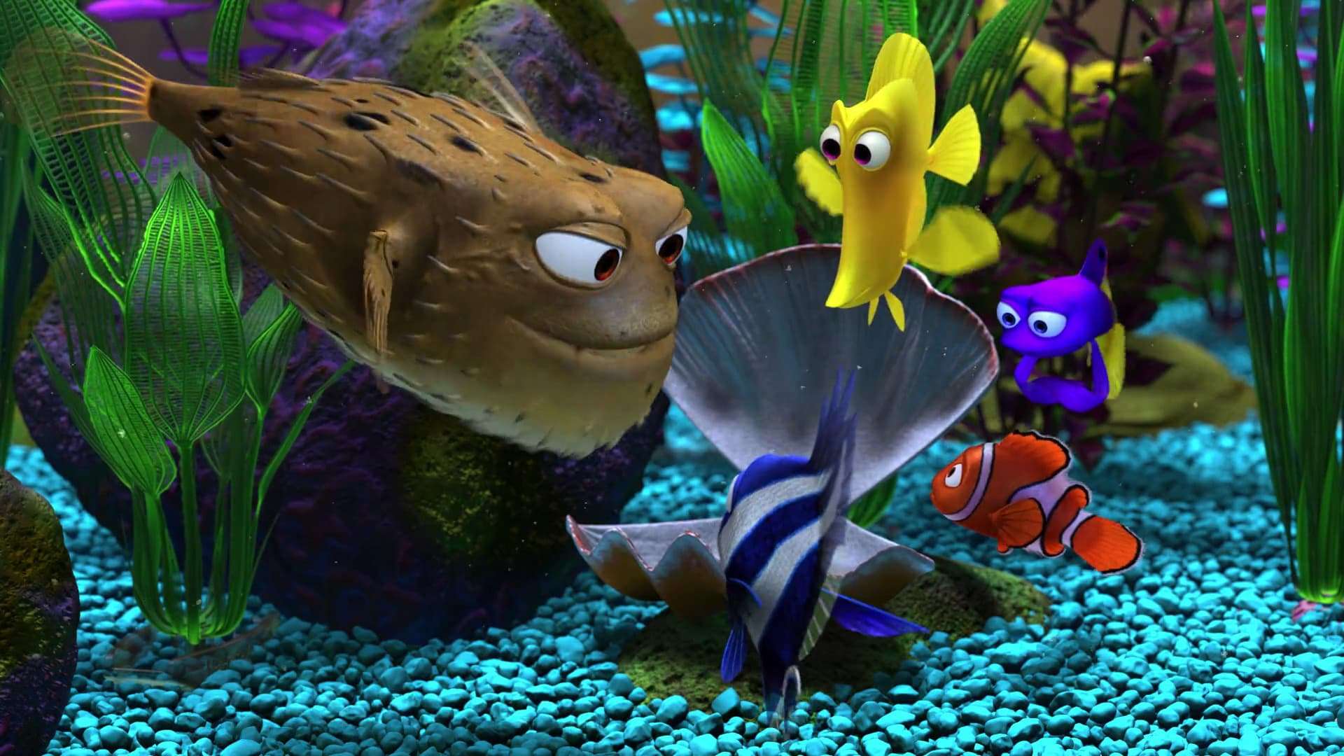 nemo fish tank