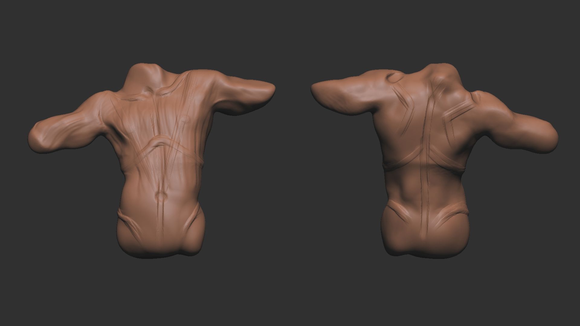 Front and Rear View of a Simple Sculpted Male Torso with Marks Identifying Bony Landmarks and Anatomical Reference Points