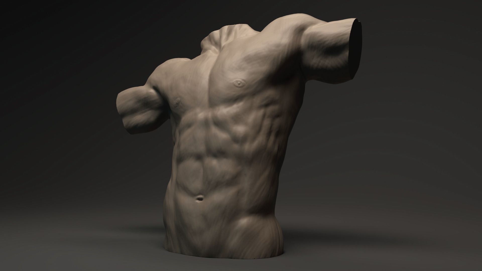 A Three Quarter Front View of a Sculpted Anatomy Study of Male Torso