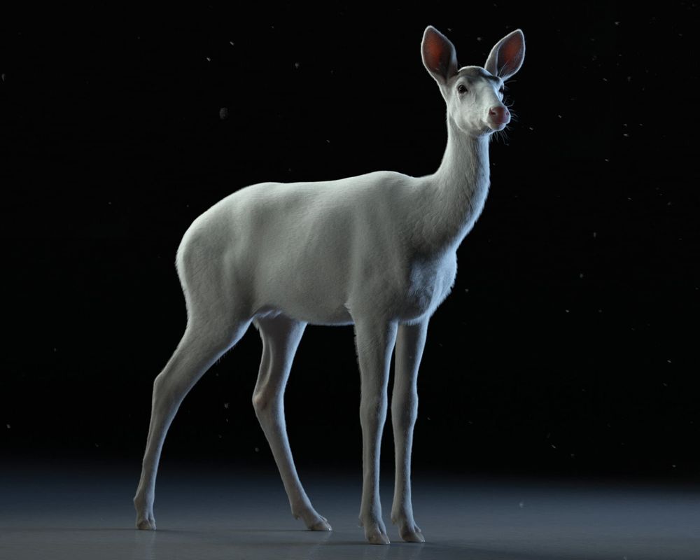 A Beginners Guide to Creating a 3D  Deer