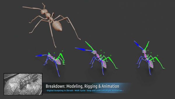 5 Houdini Projects to Simulate Natural Effects