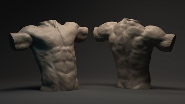 Front and Rear View of a Male Torso Anatomy Study, Sculpted in Maxon ZBrush